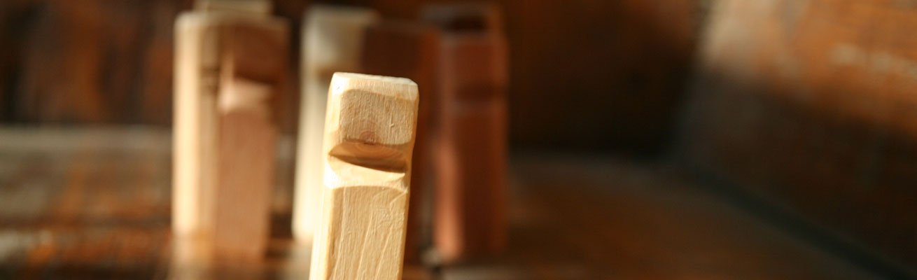 Coaching en psychosociale therapie particulieren